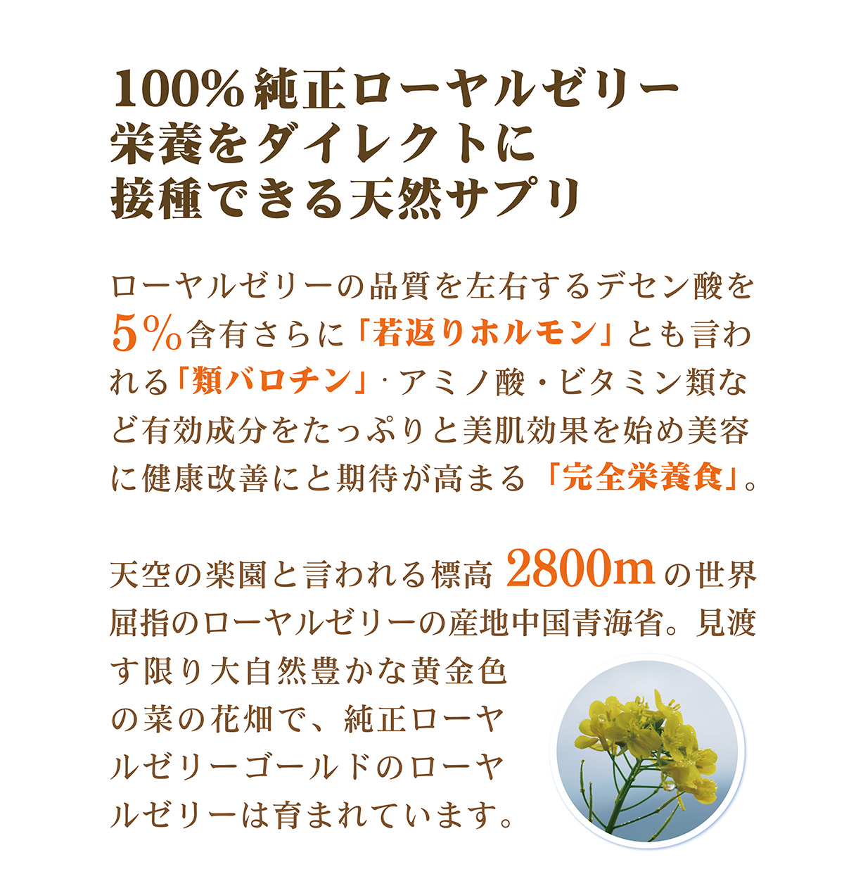 纯详情26 画板 1 02