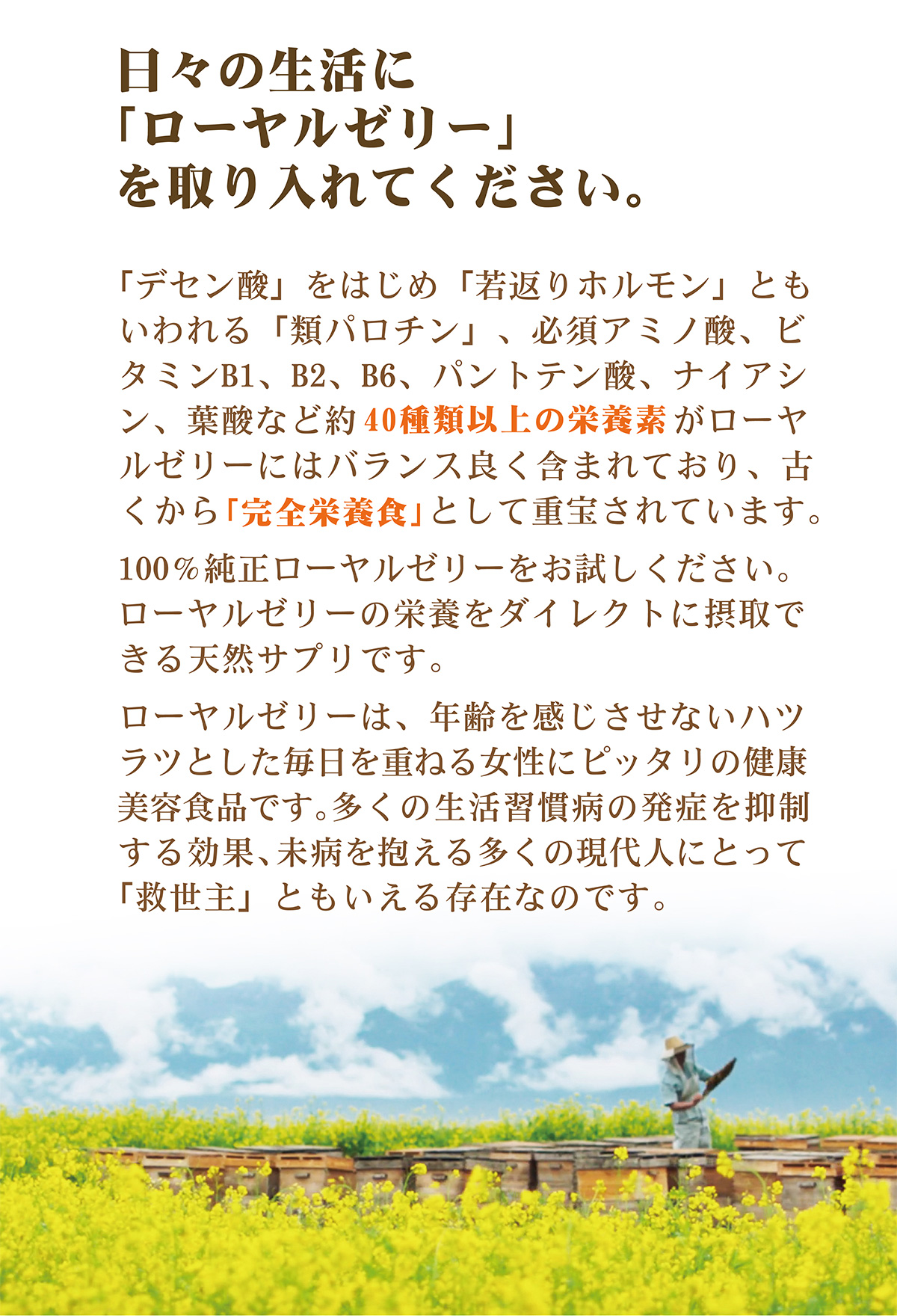 纯详情26 画板 1 03