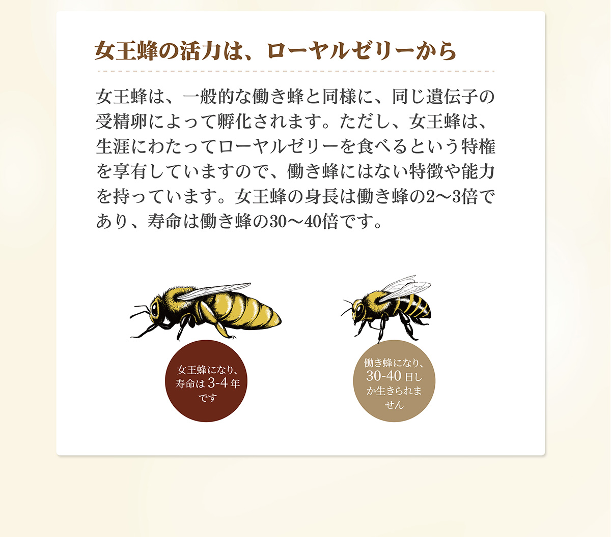 纯详情26 画板 1 09