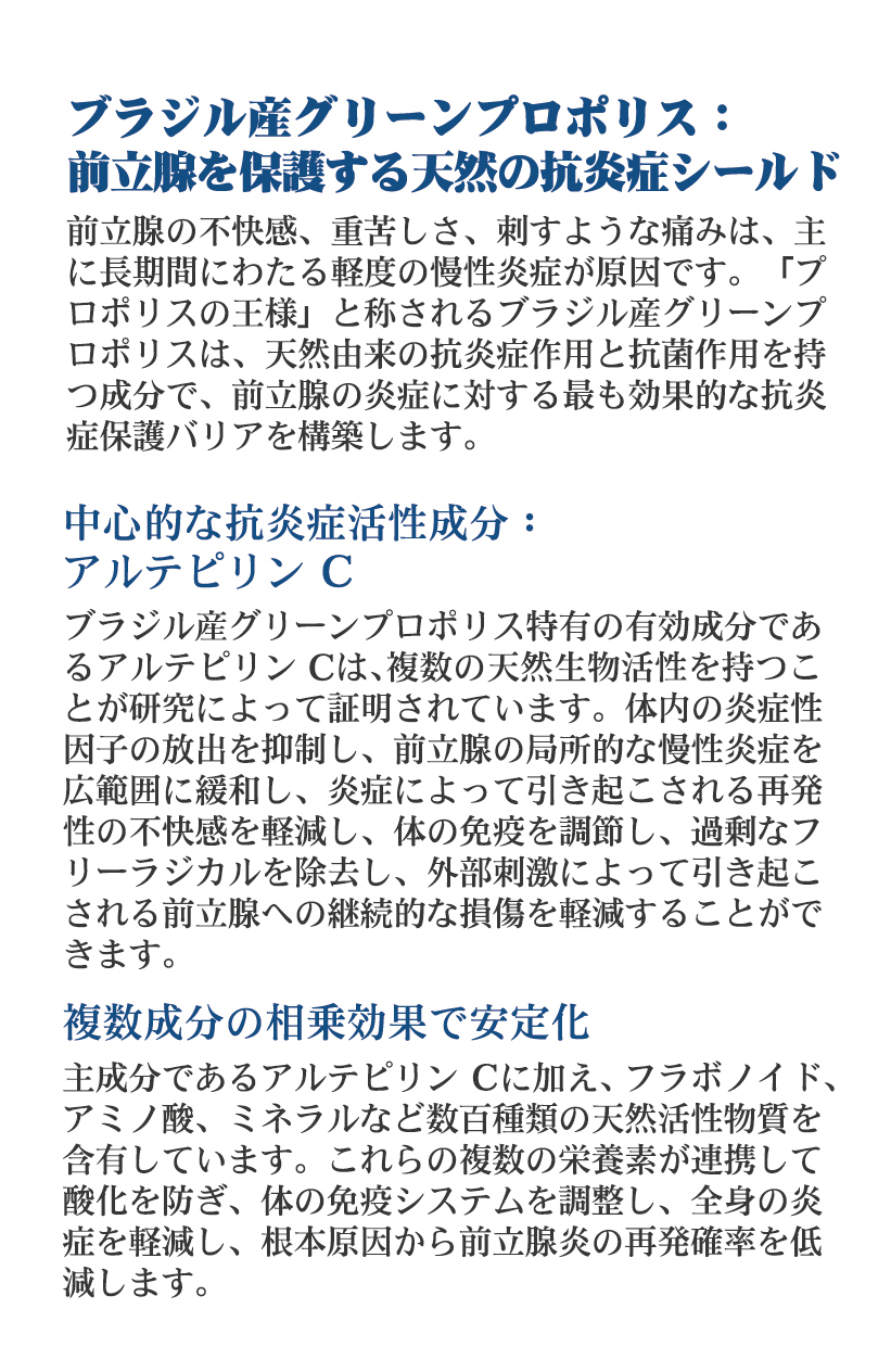 ﾎｴｱ・・3 01 03
