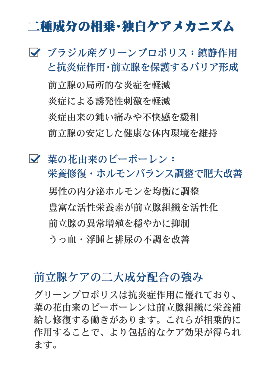 ﾎｴｱ・・3 01 05
